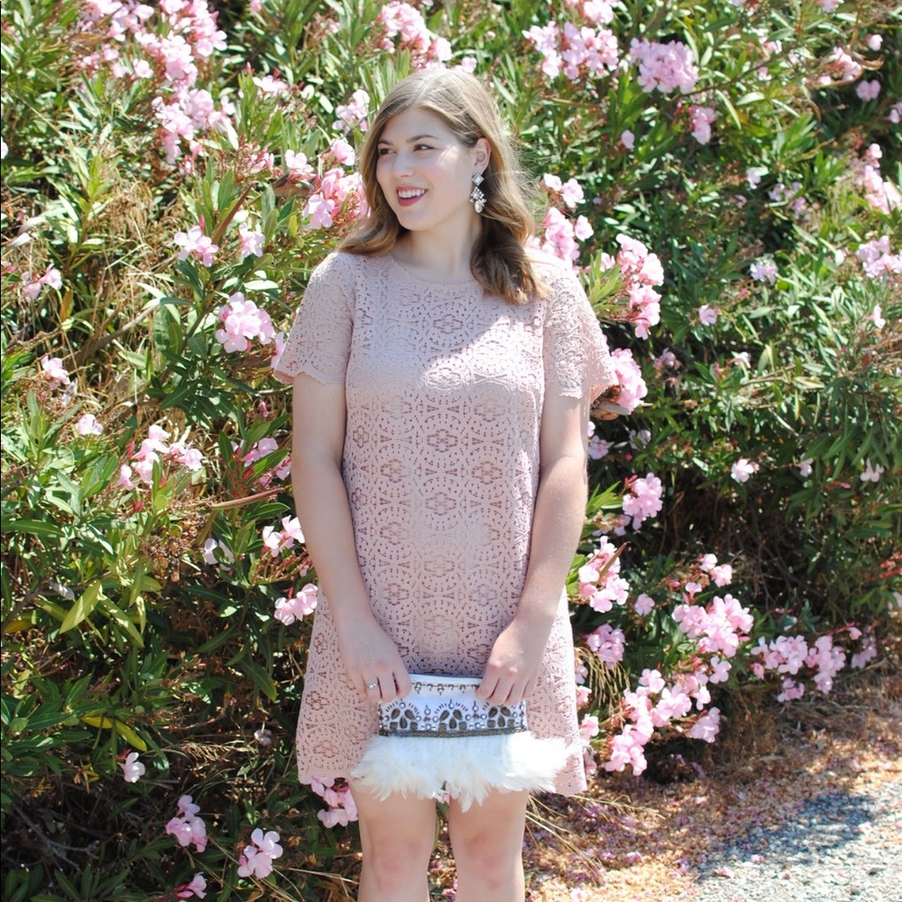 Blush lace sheath dress